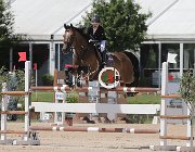 Dalla Mano Ernedelux CsioArJYR SS7 7269 : CSIO Giovani Arezzo, Dalla Mano Maria, Ernedelux, foto Stefano Secchi ©